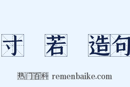 寸陰若歲造句是什么意思的图片